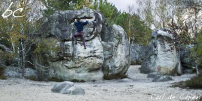 "Yellow Circuit" (6)